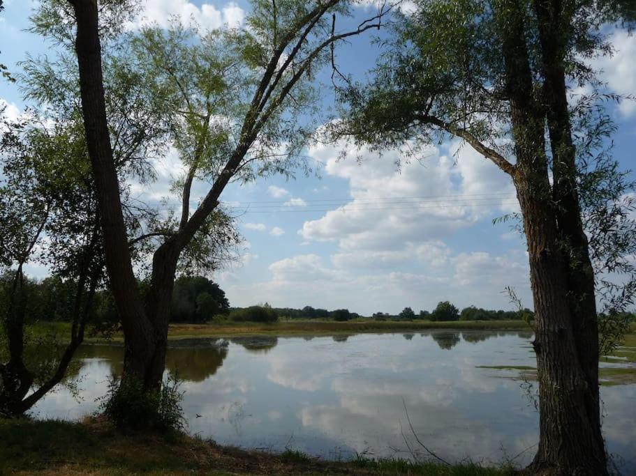 Le Prieure De Loups Acomodação com café da manhã Saint-Michel-en-Brenne Exterior foto